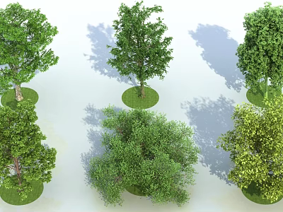 Different Arbor Types Featuring Lush Green Foliage and Varied Canopy Shapes 3d model