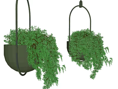 Decorative Hanging Basket Plants With Lush Trailing Greenery For Indoor Home Decor 3d model