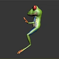 Vibrant Colored Frog with Red Eyes Green Body Blue Legs and Orange Toes