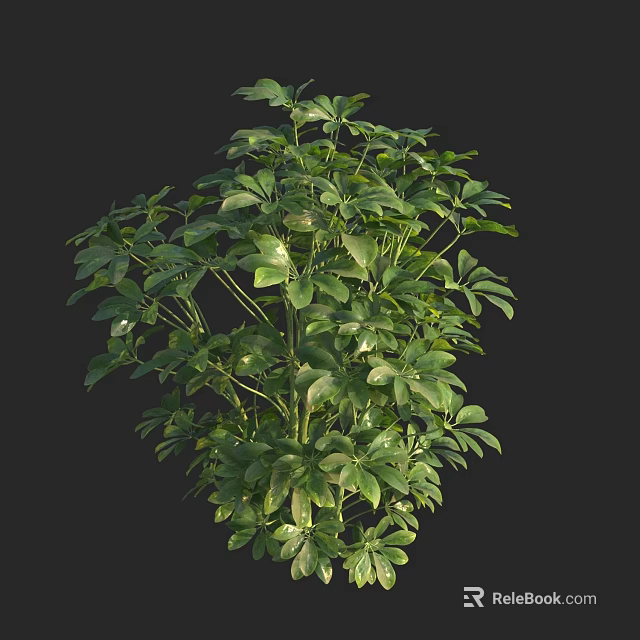 Vibrant Green Shrub With Lush Foliage For Garden Landscaping Design 3d model 