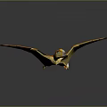 Orange Pterosaur 3D Animated Character With Wings Long Tail And Beak Details