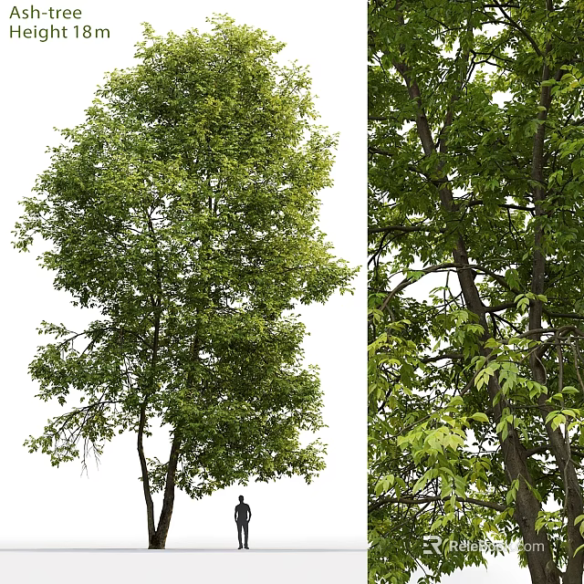 Decorative Ornament Set With Natural Green Leafy Tree Design For Home Decoration 3d model 