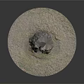 Tree Stump Decorative Base In Natural Outdoor Scene With Circular Moss Covered Surface