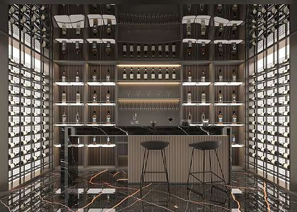 Modern Wine Cellar 3d model