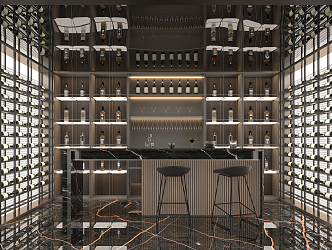 Modern Wine Cellar 3d model