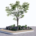 Square Tree Planter Design With Central Tree Stones And Green Plants 3d model