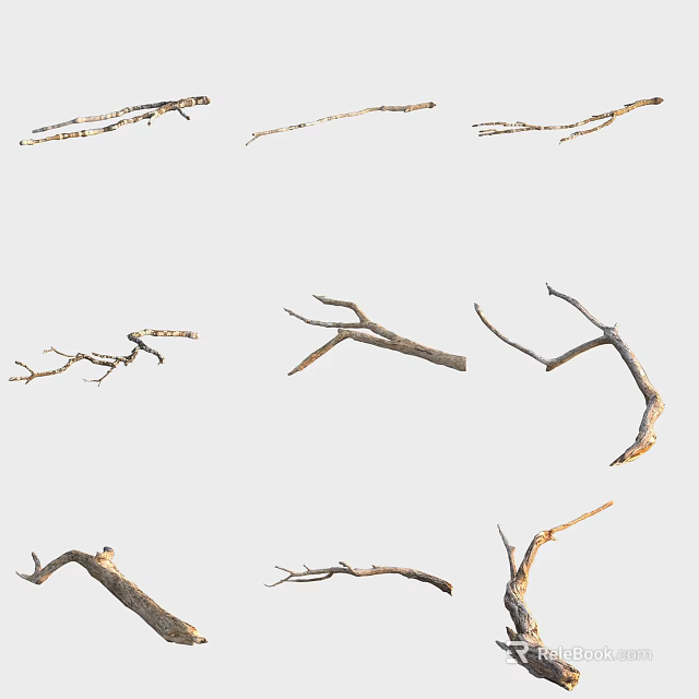 Various Dry Tree Branches Displayed On White Background For Decoration 3d model