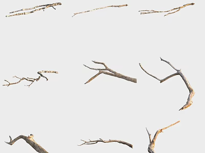 Various Dry Tree Branches Displayed On White Background For Decoration 3d model