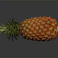 Fresh Ripe Pineapple With Green Leaves And Golden Yellow Skin Against Dark Background