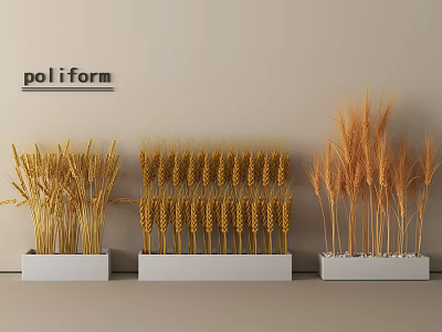 Poliform Wheat Ear Decorative Display On White Bases For Interior 3d model