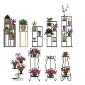 Bonsai and Potted Plants Displayed on Various Stylish Plant Stands with Green Plants and Colorful Flowers