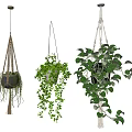 Lush Green Hanging Planters With Macramé And Various Hanging Styles For Indoor Decor
