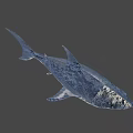 Realistic Blue Shark 3D Model With Open Mouth And Sharp Teeth