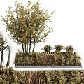 Arbor Centered Garden Landscape With Mixed Shrubs And Herbaceous Plants