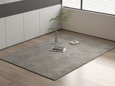 Gray Square Rug on Wooden Floor with Green Plant Books and Tray in Modern Interior 3d model