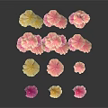 Colorful Flowers Scattered On Black Background With Pink Yellow And Other Hues