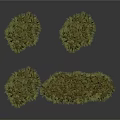 Four Green Grass Clumps with Irregular Shapes on White Background