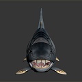 Modern shark cartoon shark great white shark whale shark 3d model