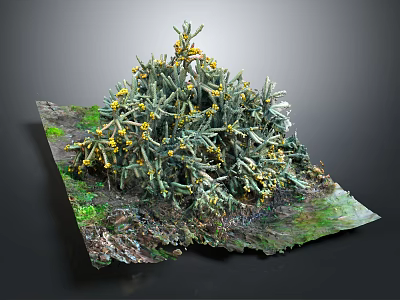 Dense Green Clustered Plants With Small Yellow Flowers On Textured Mossy Ground 3d model