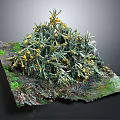 Dense Green Clustered Plants With Small Yellow Flowers On Textured Mossy Ground