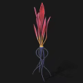 Vibrant Red And Purple Leaves With Yellow Stems And Blue Roots On Black Background