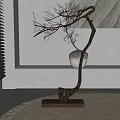 Bonsai Plant With Curved Branches In Ceramic Pot On White Shelf