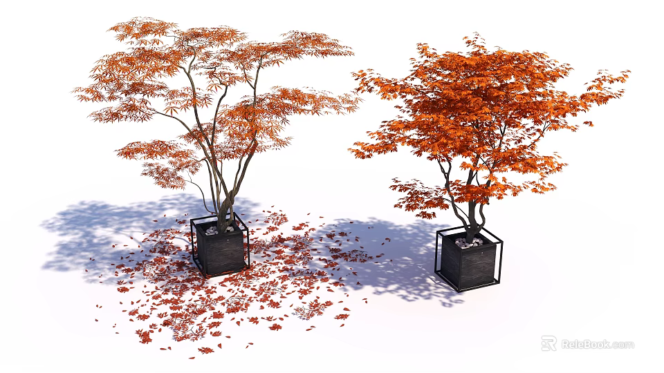 Bonsai Potted Plants With Orange Red Leaves In Black Square Pots And Scattered Fallen Leaves 3d model 