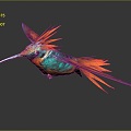 Modern Hummingbird Birds 3d model