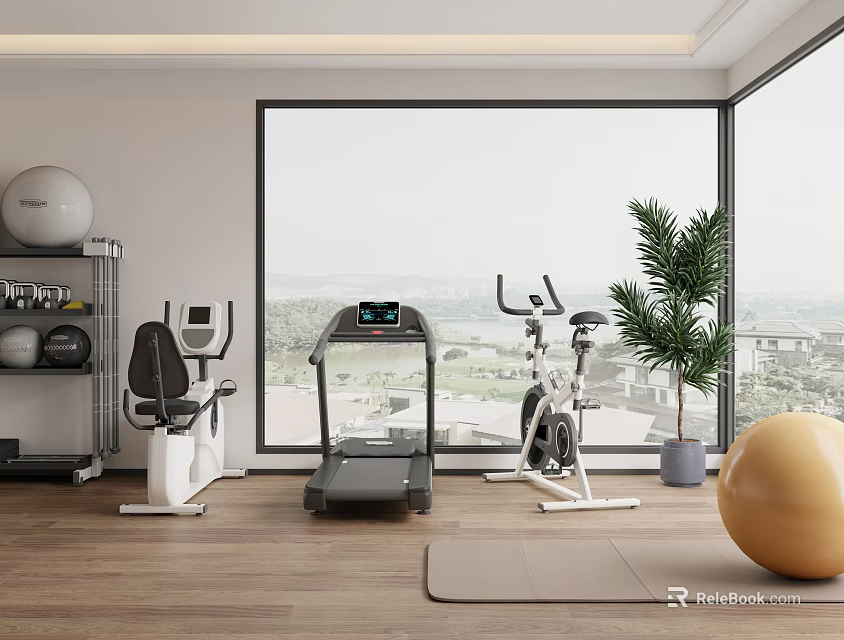 Home Entertainment Room with Fitness Equipment Treadmill Exercise Bike Yoga Mat and Potted Plant 3d model 