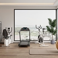 Modern Gym Home Gym 3d model