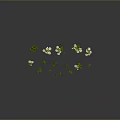 Multiple Green Plants With White Flowers In Different Forms On Dark Background For