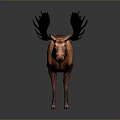 Realistic Brown Moose With Large Black Antlers Standing On Gradient Background