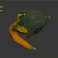 Vibrant Decorative Gourd Featuring Green Yellow Orange Tones And Curved Stem