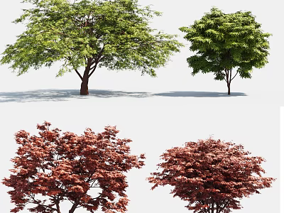Different Arbor Trees With Green And Red Foliage For Garden Landscaping 3d model