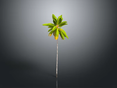 Tall Palm Tree With Slender Trunk And Green Fronds On Gray Background 3d model