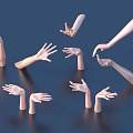 Hand Female Hand Hand Posture Beautiful Hand 3d model