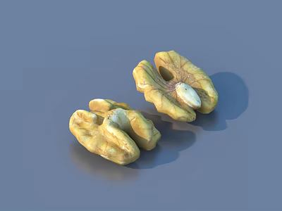 Two Shelled Walnuts with Visible Kernels on Gray Background for Daily Use 3d model