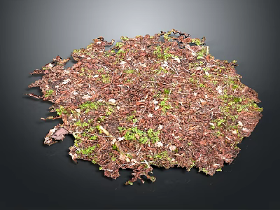 Plant Mulch with Brown Leaves and Green Moss in Irregular Circular Shape 3d model