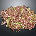 Plant Mulch with Brown Leaves and Green Moss in Irregular Circular Shape