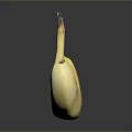 Ripe Yellow Banana With Brown Spots On Black Surface With Reflection 3d model