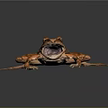 Orange Frog with Open Mouth and Prominent Red Eyes on Dark Background
