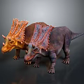 Two Vibrant Triceratops Dinosaurs With Colorful Frills And Textured Skin