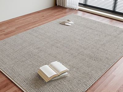 Modern Square Carpet 3d model