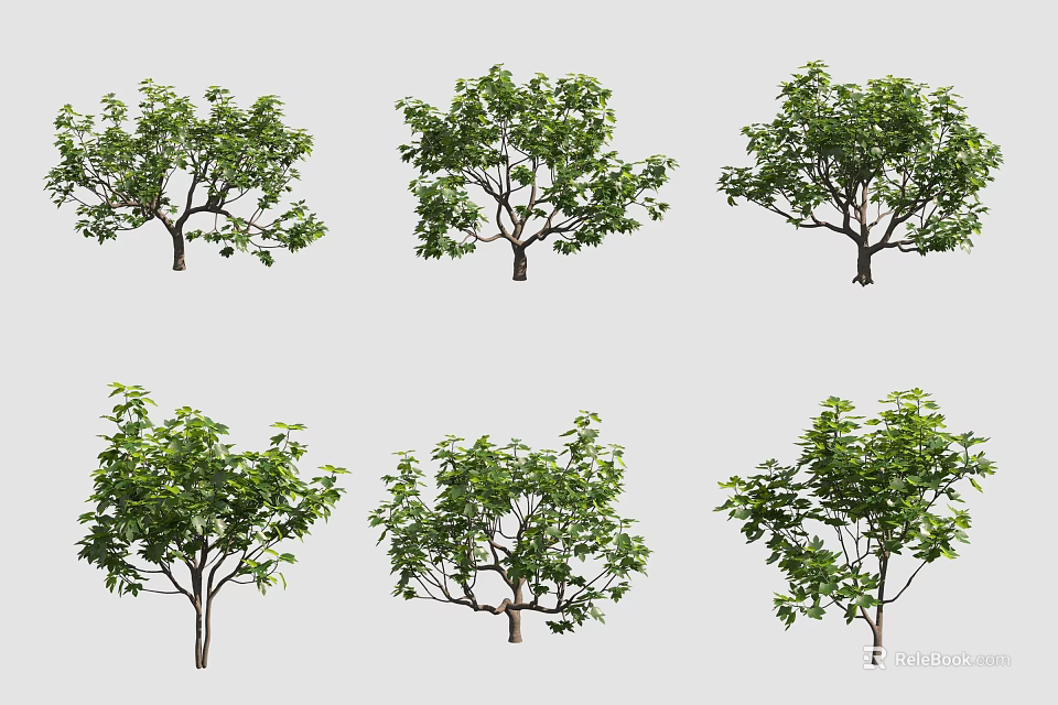 Arbor Trees With Lush Green Leaves Various Growth Forms And Sturdy Trunks 3d model 