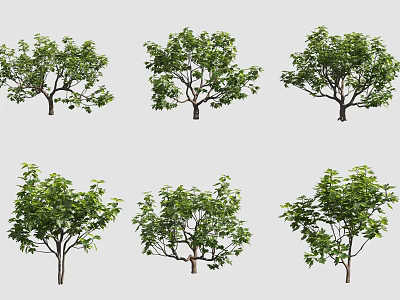 Arbor Trees With Lush Green Leaves Various Growth Forms And Sturdy Trunks 3d model