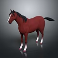 Red Horse Standing With Black Mane Tail And White Hooves On Gray Background