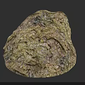 Natural Wooden Stone With Rough Textured Surface And Organic Earthy Patterns