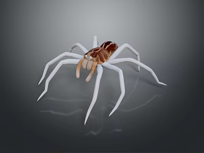Realistic 3D Rendered Spider With White Legs And Brown Body On Gray Background 3d model