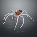 Realistic 3D Rendered Spider With White Legs And Brown Body On Gray Background