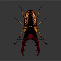 Giant Beetle With Large Red Mandibles Black Orange Body Yellow Legs Detailed Close Up View